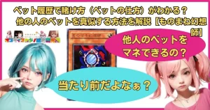 ベット履歴で賭け方（ベットの仕方）がわかる？他の人のベットを真似する方法を解説【ものまね幻想師】